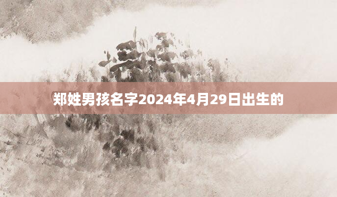 郑姓男孩名字2024年4月29日出生的