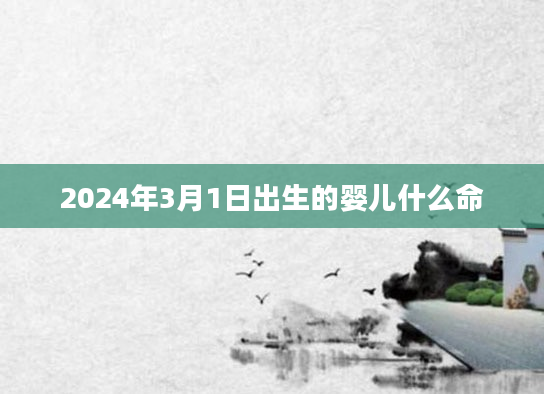 2024年3月1日出生的婴儿什么命