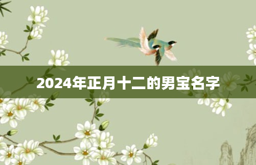 2024年正月十二的男宝名字