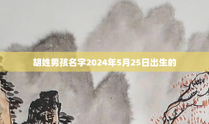 胡姓男孩名字2024年5月25日出生的