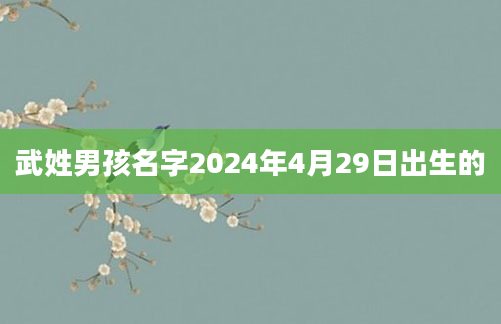 武姓男孩名字2024年4月29日出生的