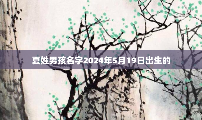 夏姓男孩名字2024年5月19日出生的