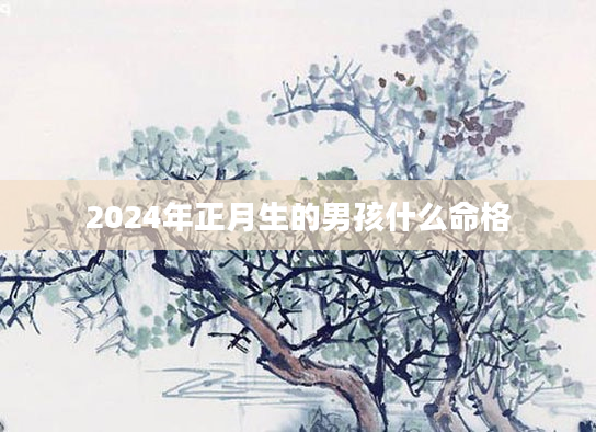 2024年正月生的男孩什么命格