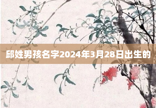 邱姓男孩名字2024年3月28日出生的