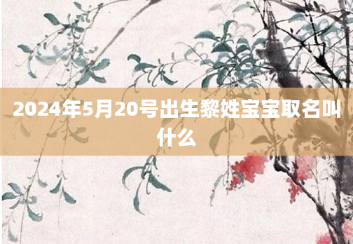 2024年5月20号出生黎姓宝宝取名叫什么