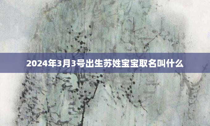 2024年3月3号出生苏姓宝宝取名叫什么