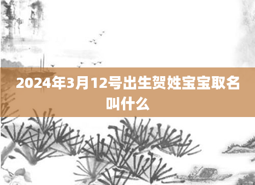 2024年3月12号出生贺姓宝宝取名叫什么