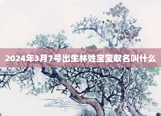 2024年3月7号出生林姓宝宝取名叫什么