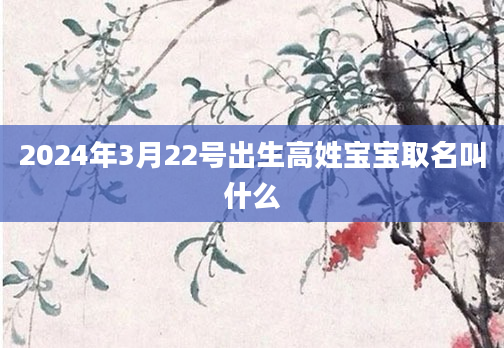 2024年3月22号出生高姓宝宝取名叫什么