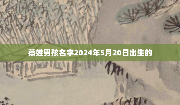 蔡姓男孩名字2024年5月20日出生的