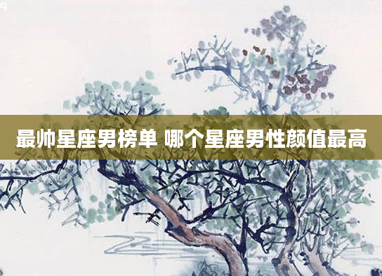 最帅星座男榜单 哪个星座男性颜值最高
