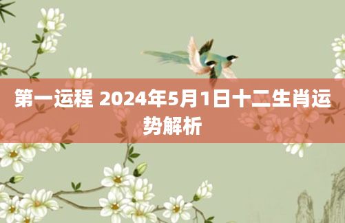 第一运程 2024年5月1日十二生肖运势解析