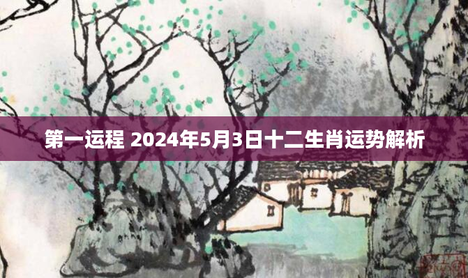第一运程 2024年5月3日十二生肖运势解析