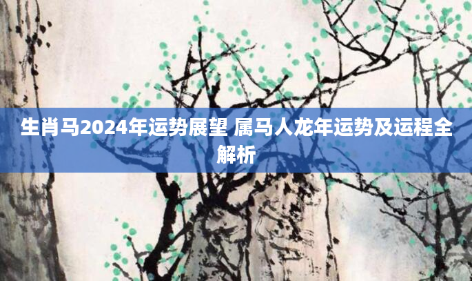 生肖马2024年运势展望 属马人龙年运势及运程全解析