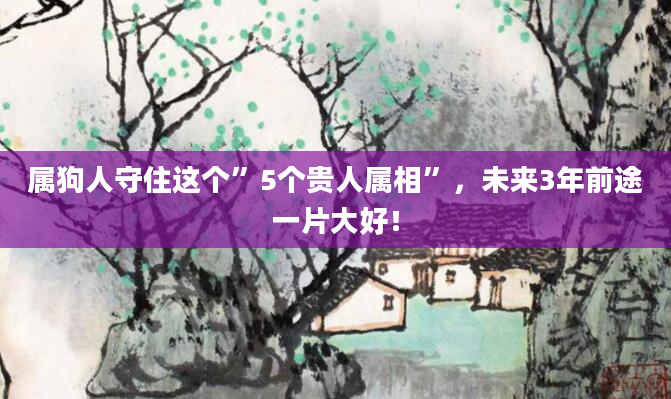 属狗人守住这个”5个贵人属相”，未来3年前途一片大好！