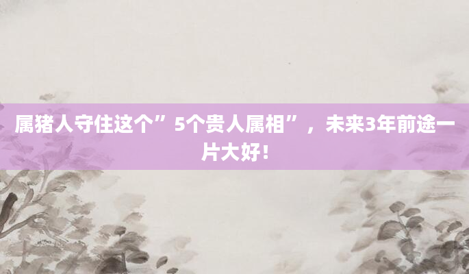 属猪人守住这个”5个贵人属相”，未来3年前途一片大好！