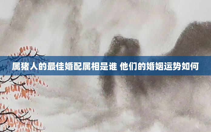 属猪人的最佳婚配属相是谁 他们的婚姻运势如何