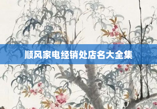 顺风家电经销处店名大全集