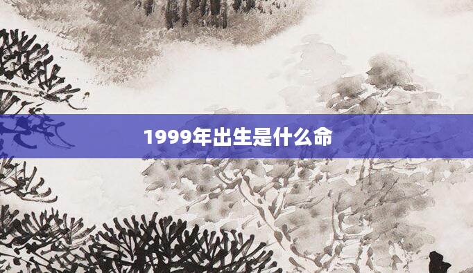 1999年出生是什么命