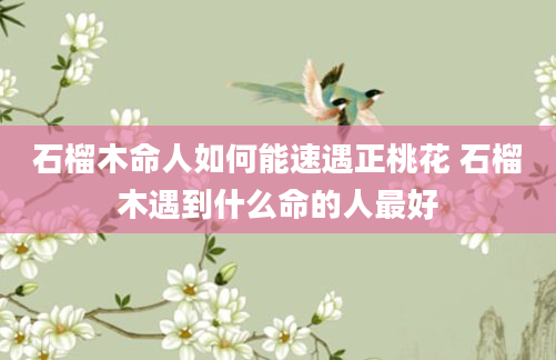 石榴木命人如何能速遇正桃花 石榴木遇到什么命的人最好
