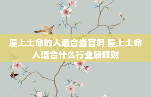 屋上土命的人适合当官吗 屋上土命人适合什么行业最旺财