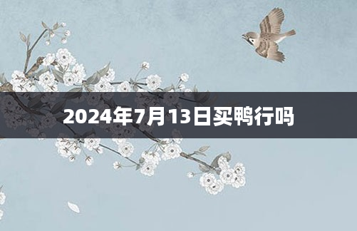 2024年7月13日买鸭行吗