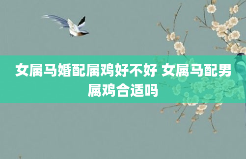 女属马婚配属鸡好不好 女属马配男属鸡合适吗