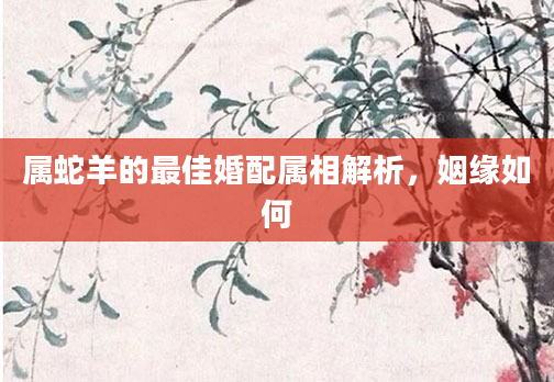 属蛇羊的最佳婚配属相解析，姻缘如何