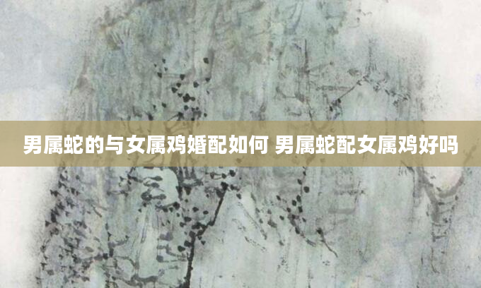 男属蛇的与女属鸡婚配如何 男属蛇配女属鸡好吗