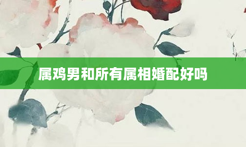 属鸡男和所有属相婚配好吗