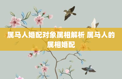 属马人婚配对象属相解析 属马人的属相婚配
