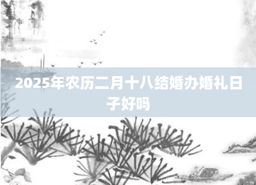 2025年农历二月十八结婚办婚礼日子好吗