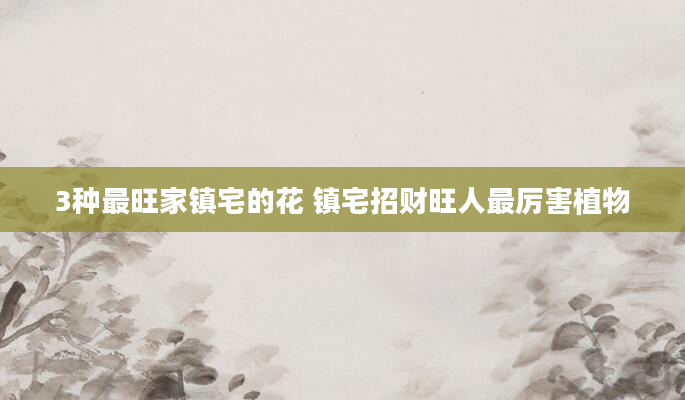 3种最旺家镇宅的花 镇宅招财旺人最厉害植物