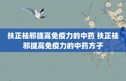 扶正祛邪提高免疫力的中药 扶正祛邪提高免疫力的中药方子