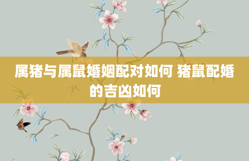 属猪与属鼠婚姻配对如何 猪鼠配婚的吉凶如何
