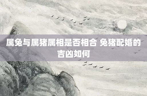 属兔与属猪属相是否相合 兔猪配婚的吉凶如何