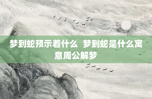 梦到蛇预示着什么  梦到蛇是什么寓意周公解梦