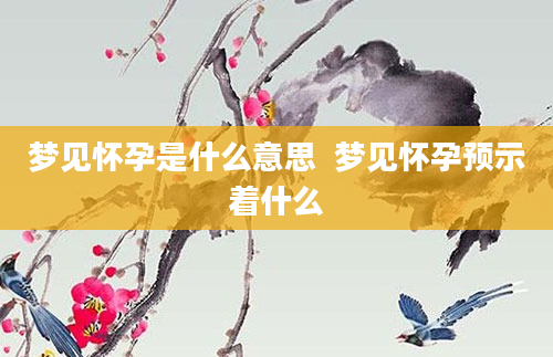 梦见怀孕是什么意思  梦见怀孕预示着什么