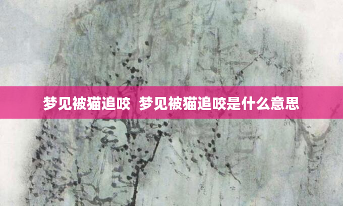 梦见被猫追咬  梦见被猫追咬是什么意思