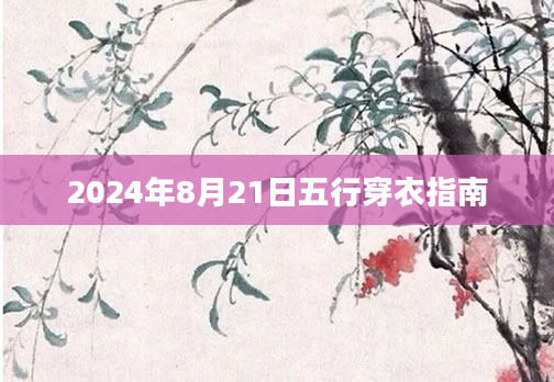 2024年8月21日五行穿衣指南