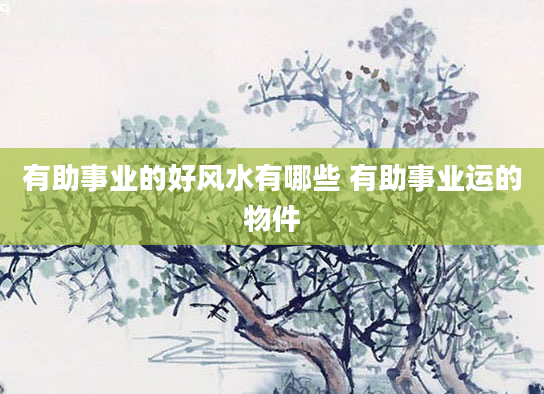有助事业的好风水有哪些 有助事业运的物件
