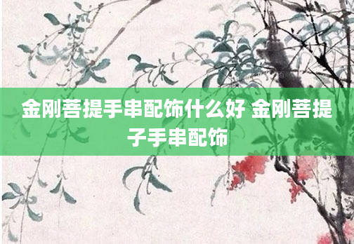 金刚菩提手串配饰什么好 金刚菩提子手串配饰