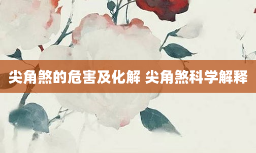 尖角煞的危害及化解 尖角煞科学解释