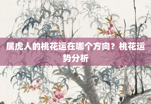 属虎人的桃花运在哪个方向？桃花运势分析