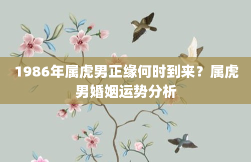 1986年属虎男正缘何时到来？属虎男婚姻运势分析