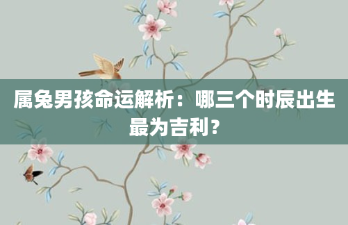 属兔男孩命运解析：哪三个时辰出生最为吉利？
