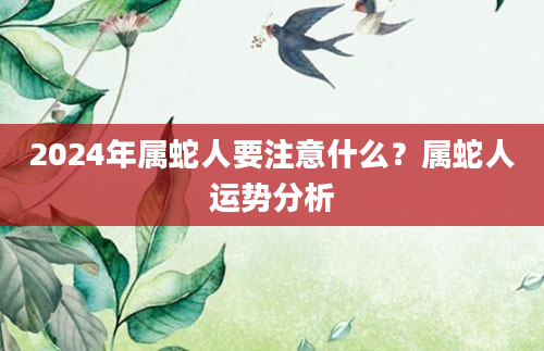 2024年属蛇人要注意什么？属蛇人运势分析