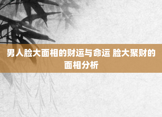 男人脸大面相的财运与命运 脸大聚财的面相分析