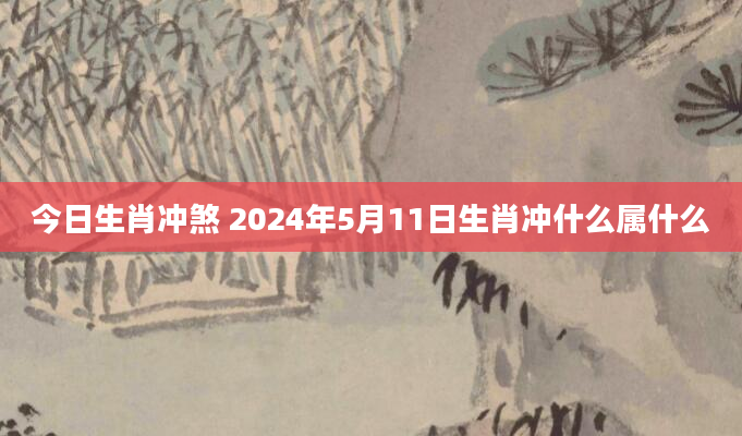 今日生肖冲煞 2024年5月11日生肖冲什么属什么