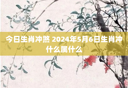 今日生肖冲煞 2024年5月6日生肖冲什么属什么